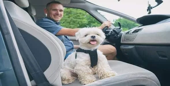 What are Your Plans During The Holidays? Take a Few Steps Now to Avoid Traffic Accidents