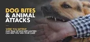 How Much Is My Michigan Dog Bite Case Worth?