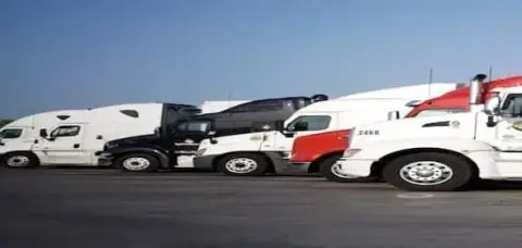 A row of parked semi-trucks, each bearing vibrant hues like white, black, and red, stands proudly under a clear blue sky. These powerful machines are the pride of a reputable truck company known for its commitment to safety and precision on the roadways.